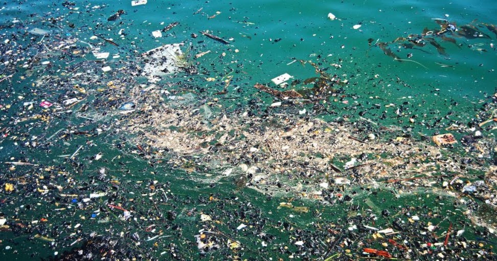 Great Pacific Garbage Patch